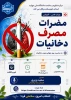 مرکز مشاوره و سلامت دانشگاه ملی مهارت برگزار می کند 2